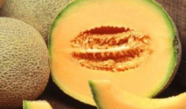 吃哈密瓜吃籽视频,吃籽视频背后的趣味与营养揭秘
