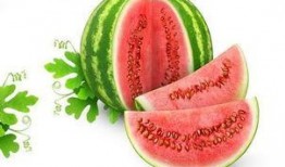 张舒晴吃瓜,揭秘娱乐圈幕后故事