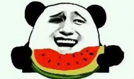 怎么去法院吃瓜,揭秘法庭内外那些事儿