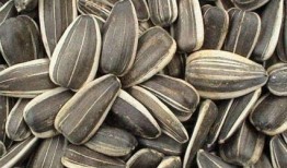 孕期可以吃石灰瓜吗,孕期适量食用石灰瓜的建议与注意事项