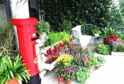 魅力花园吃瓜,瓜果飘香，共享欢乐时光