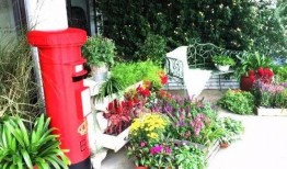 魅力花园吃瓜,瓜果飘香，共享欢乐时光