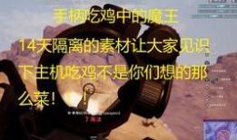 吃鸡呆瓜队友,呆瓜队友的欢乐日常