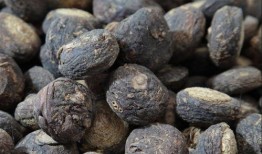 玛卡巴卡吃瓜,一场欢乐的夏日盛宴