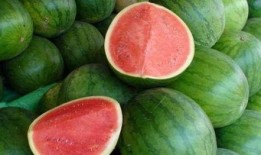 瓜能用来怎么吃,尽享夏日清凉美食之旅