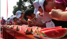 趣味吃瓜大赛推荐,趣味吃瓜大赛，一网打尽年度最热“瓜”事