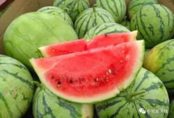 平常的吃瓜日,吃瓜群众眼中的明星生活