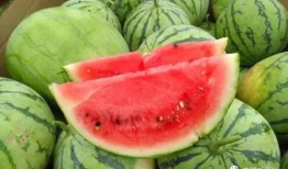 平常的吃瓜日,吃瓜群众眼中的明星生活