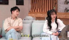 吃瓜流量当红小花,吃瓜流量背后的璀璨星途