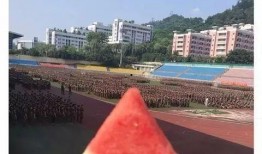 为校友吃瓜视频,揭秘校园幕后故事