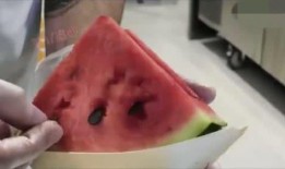 吃巧克力的瓜,甜蜜诱惑背后的奇妙故事