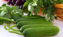 夏日吃瓜的情形,清凉一夏，尽享甜蜜时光