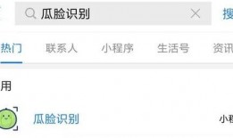 吃瓜用什么搜索