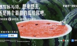 夏天就是吃瓜文案,瓜果飘香——夏季吃瓜指南