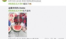 吃瓜大学改名大全,揭秘高校更名背后的故事与变迁