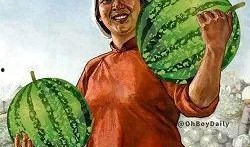 吃瓜卡住,揭秘网络热议背后的真相与反思