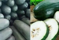 吃瓜6点,带你领略娱乐圈风云变幻