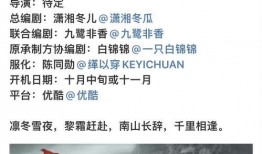 《理性吃瓜》,揭秘网络舆论背后的真相与智慧