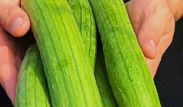 吃瓜的蔬菜有哪些,那些让人“吃瓜”的蔬菜