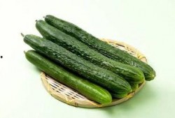 吃瓜喝茶 吃黄瓜