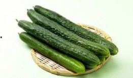 吃瓜喝茶 吃黄瓜