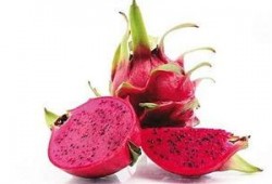 儿童感冒吃红龙瓜好不好