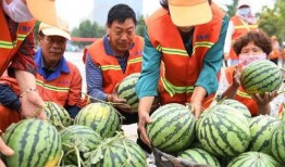 临沂吃瓜现场视频